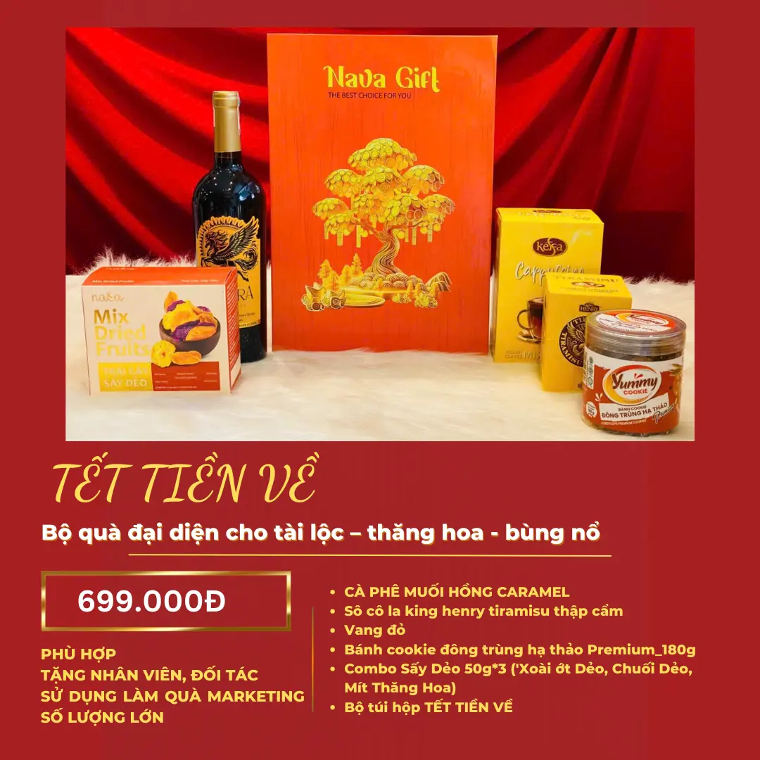 Hộp Quà Tết 2026 - TẾT TIỀN VỀ (kèm túi)
