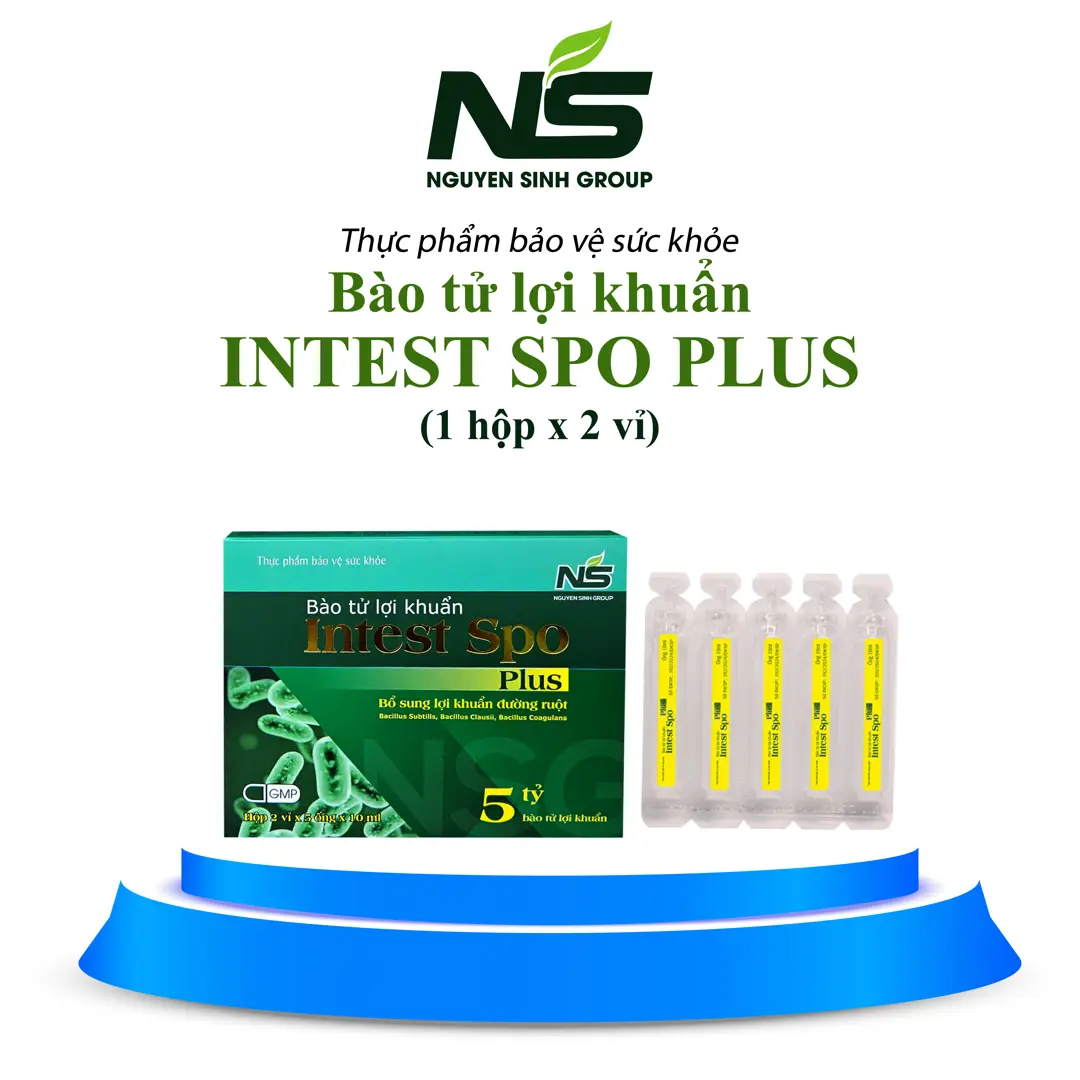 Thực phẩm bảo vệ sức khỏe bào tử lợi khuẩn Intest Spo Plus hỗ trợ tiêu hoá (hộp 2 vỉ)