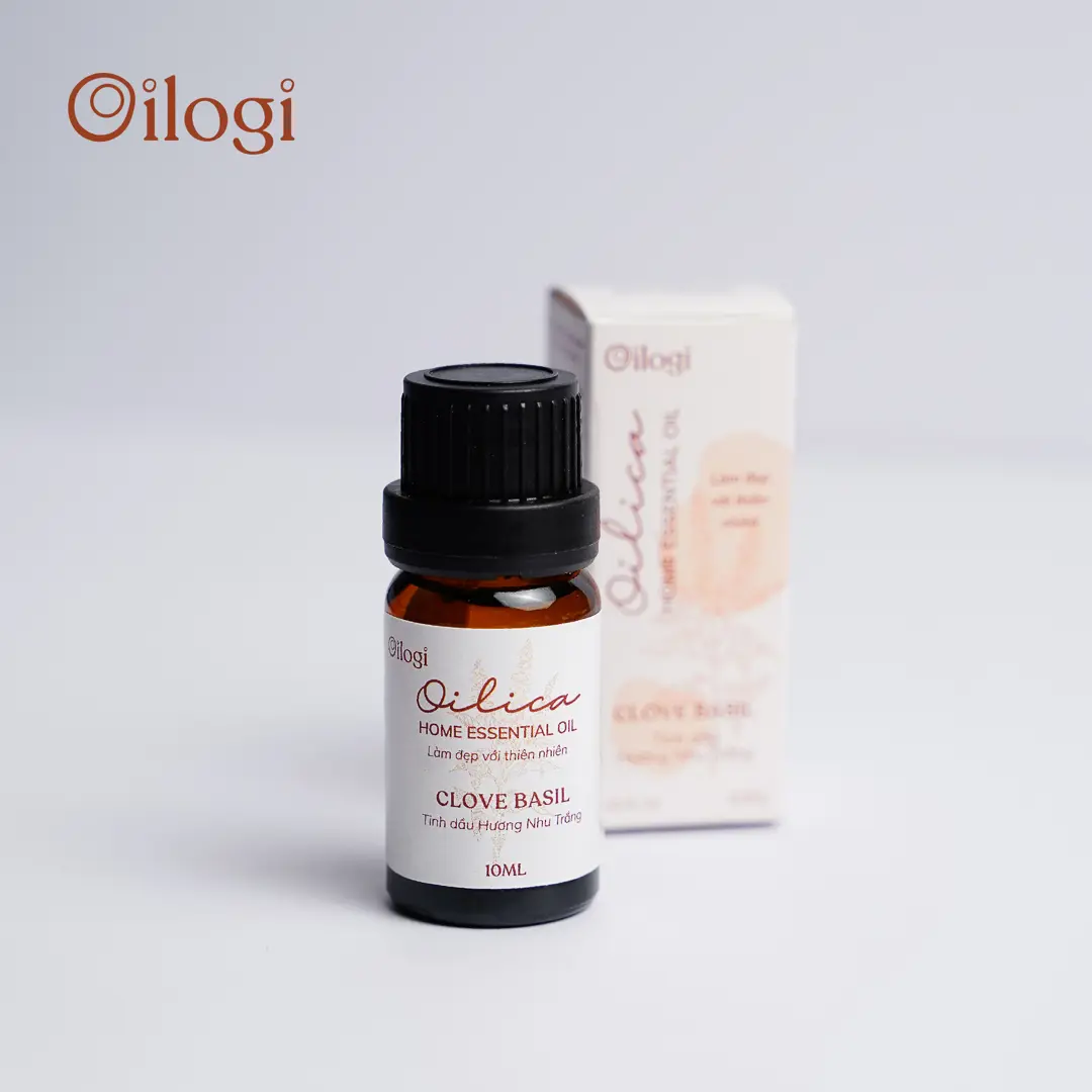 Tinh dầu hương Nhu Trắng – Clove Basil Oil giữ ấm, thông thoáng đường thở (chai 10ml)