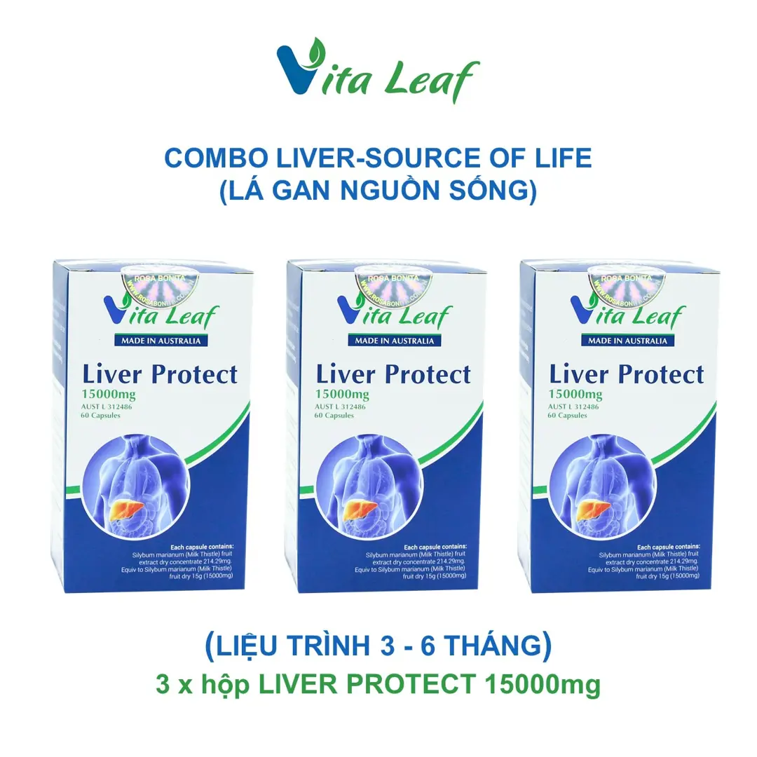 Combo liver-source of life (lá gan nguồn sống) (3 hộp)- Hỗ trợ Thải độc gan, bảo vệ và duy trì chức năng gan