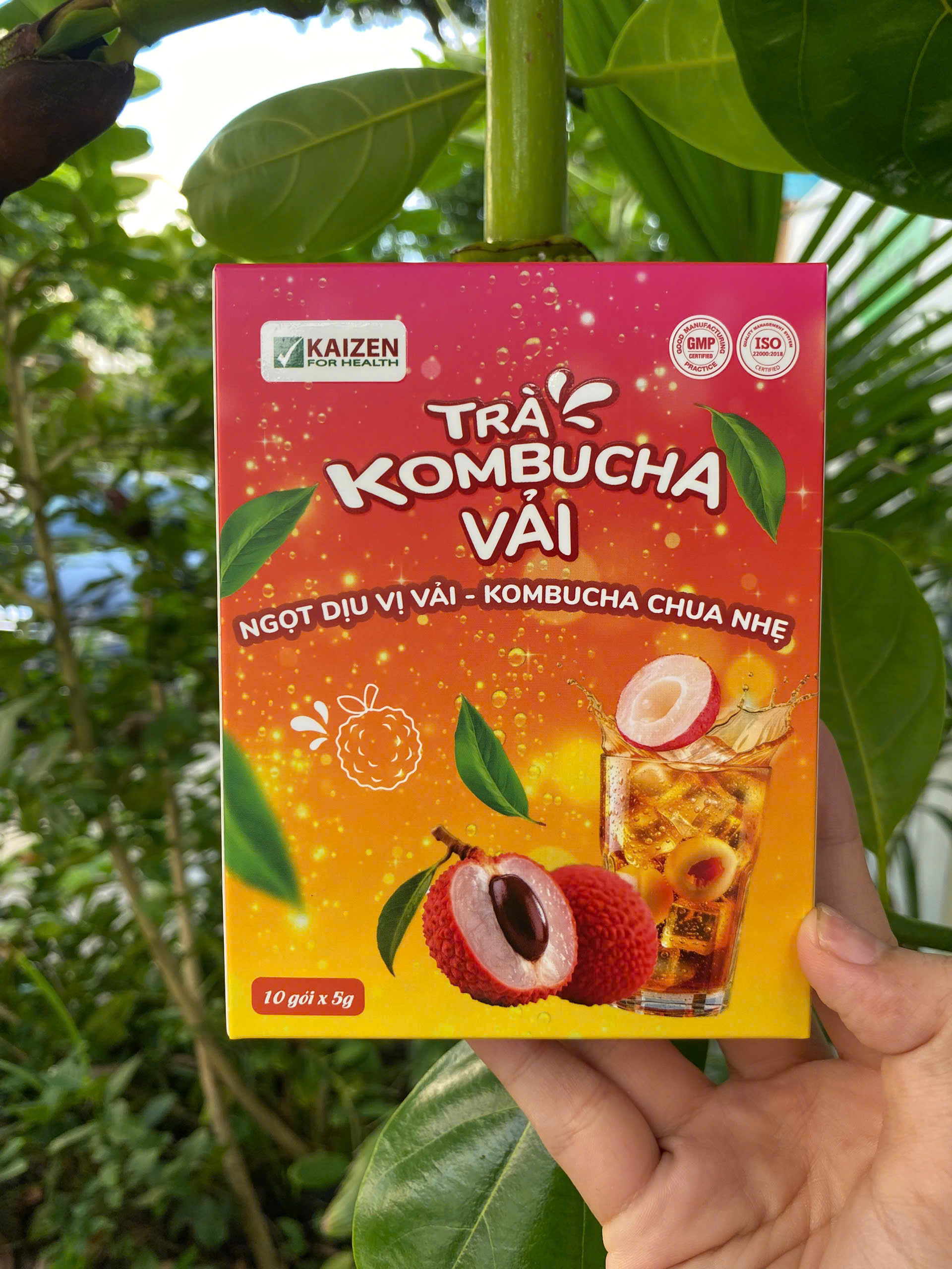 Trà Kombucha Vải ( Hộp 10 gói x 5g) - 8