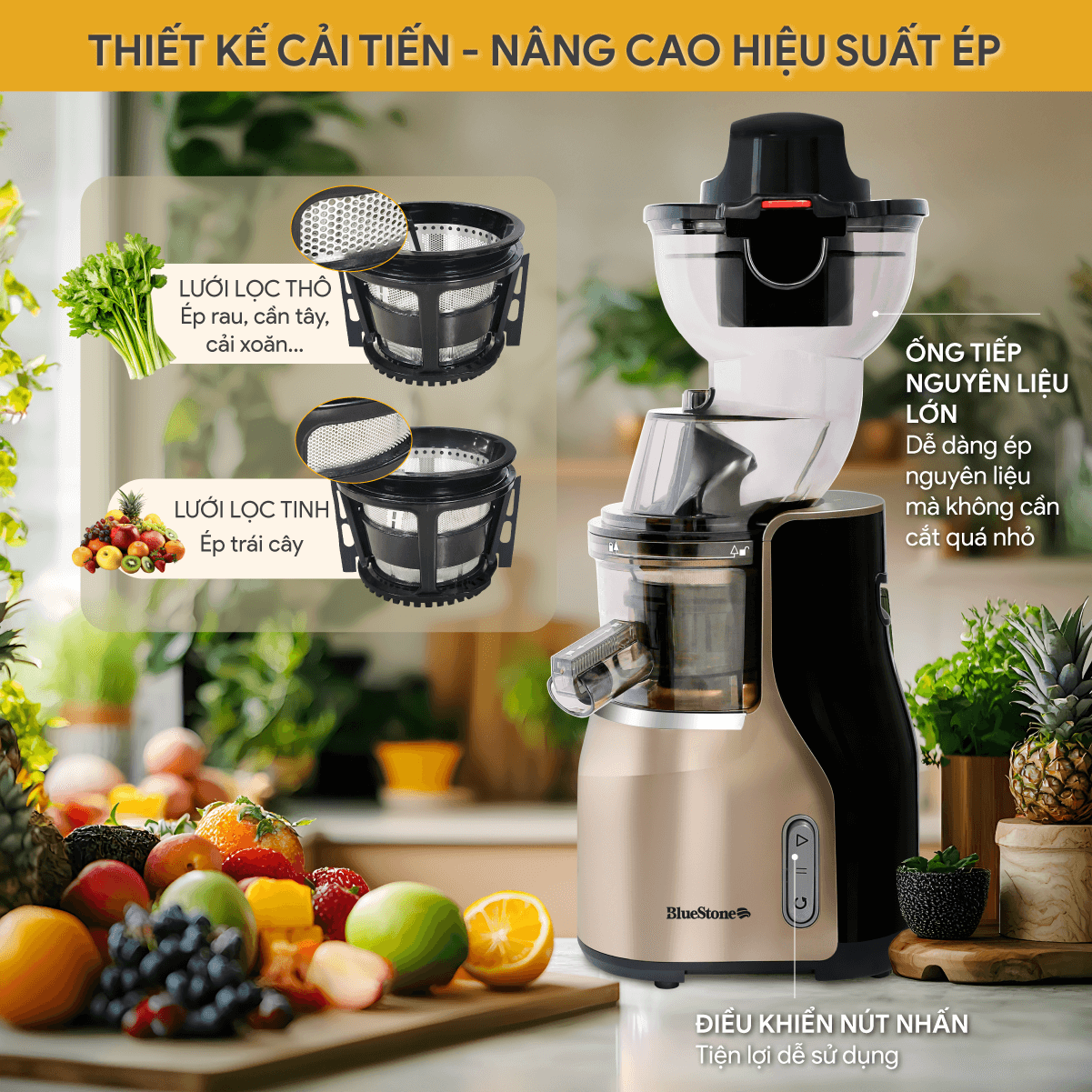 Máy Ép Chậm BlueStone SJB-6568 250W - 4