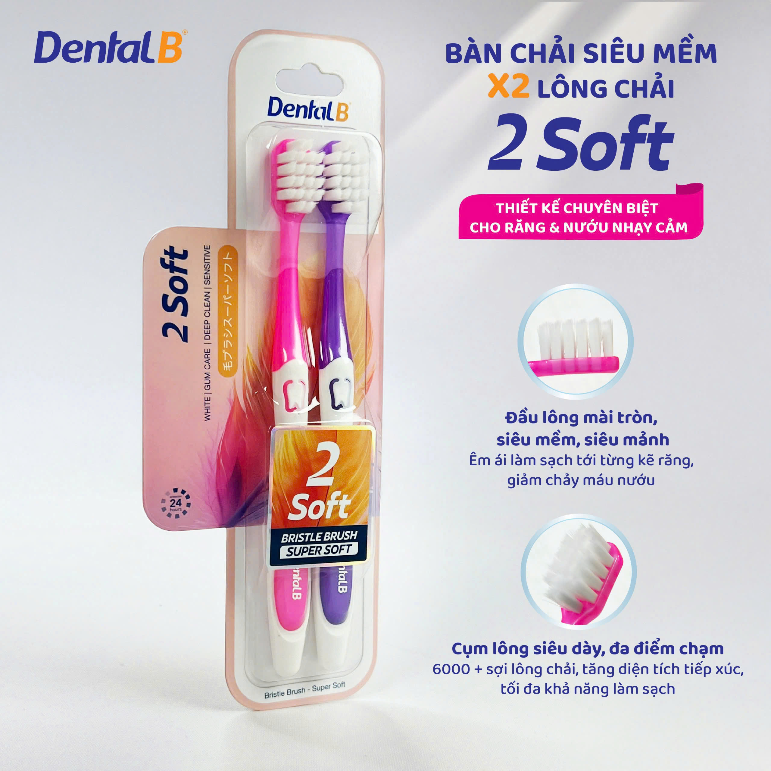 Bàn chải đánh răng người lớn Dental B - 5