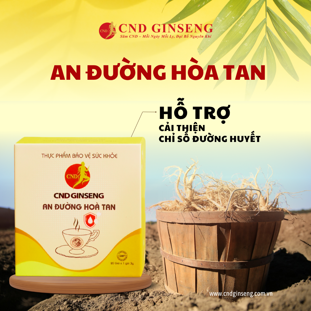 An Đường Hoà Tan CND GINSENG - Hỗ trợ cải thiện chỉ số đường huyết ( kèm túi )