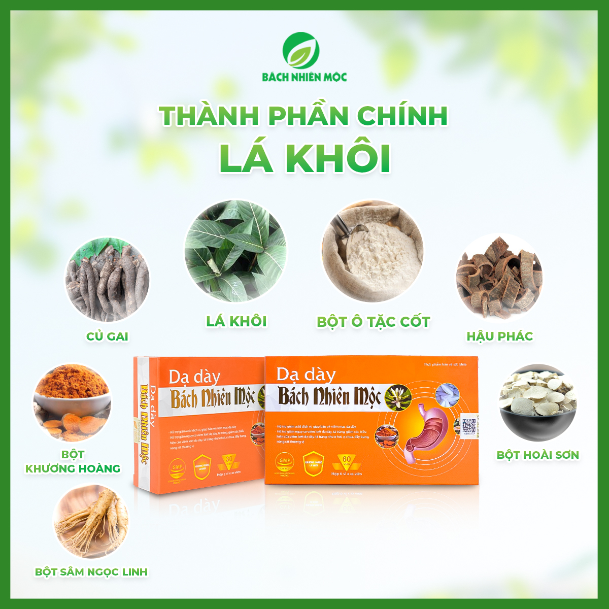 TPBVSK Dạ Dày Bách Nhiên Mộc hỗ trợ giảm acid dịch vị, bảo vệ niêm mạc dạ dày (Hộp 60 viên)