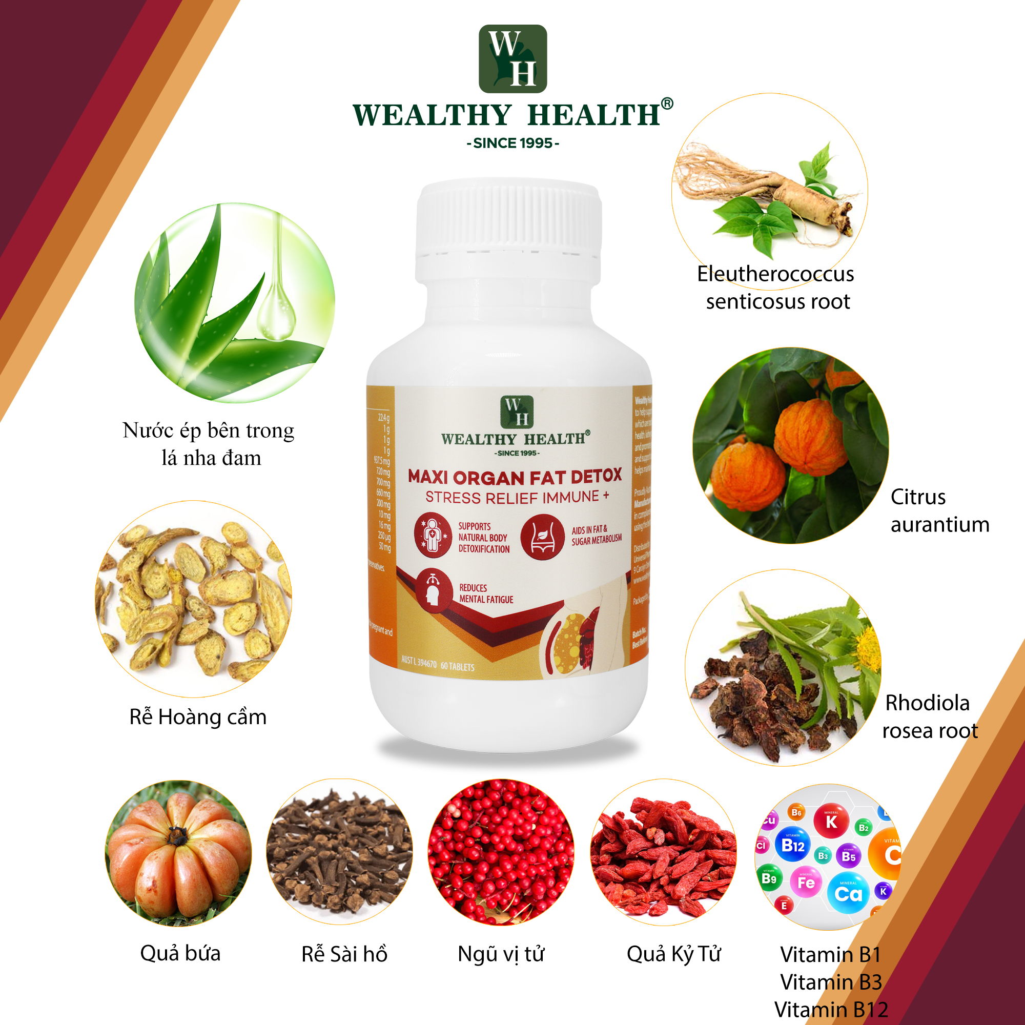 Thực phẩm bảo vệ sức khỏe Maxi Organ Fat Detox Stress Relief Immune + - Phân phối chính hãng