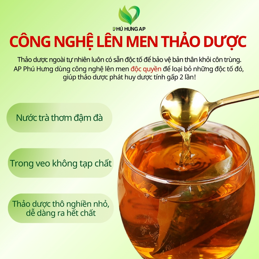 Trà Giải Độc Thanh Nhiệt Thái Bình 125gram ( Túi lọc)