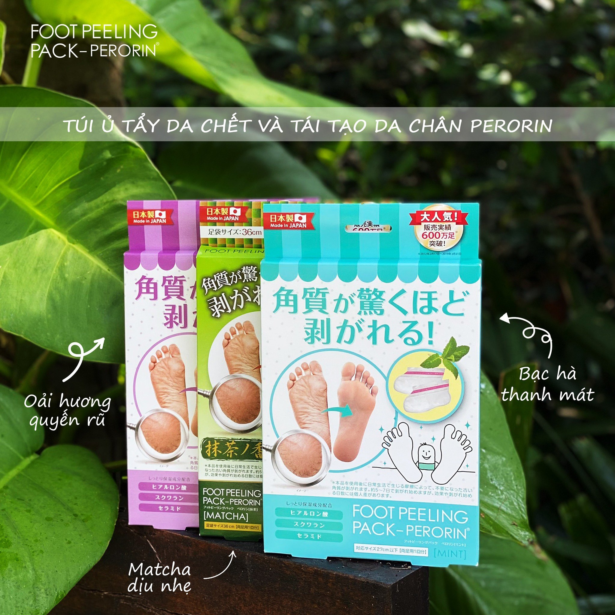 Túi ủ tẩy da chết và tái tạo da chân Perorin (Hộp 01 túi) Foot Peeling Pack - PERORIN