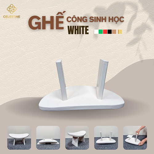 Ghế Công Sinh Học WHITE