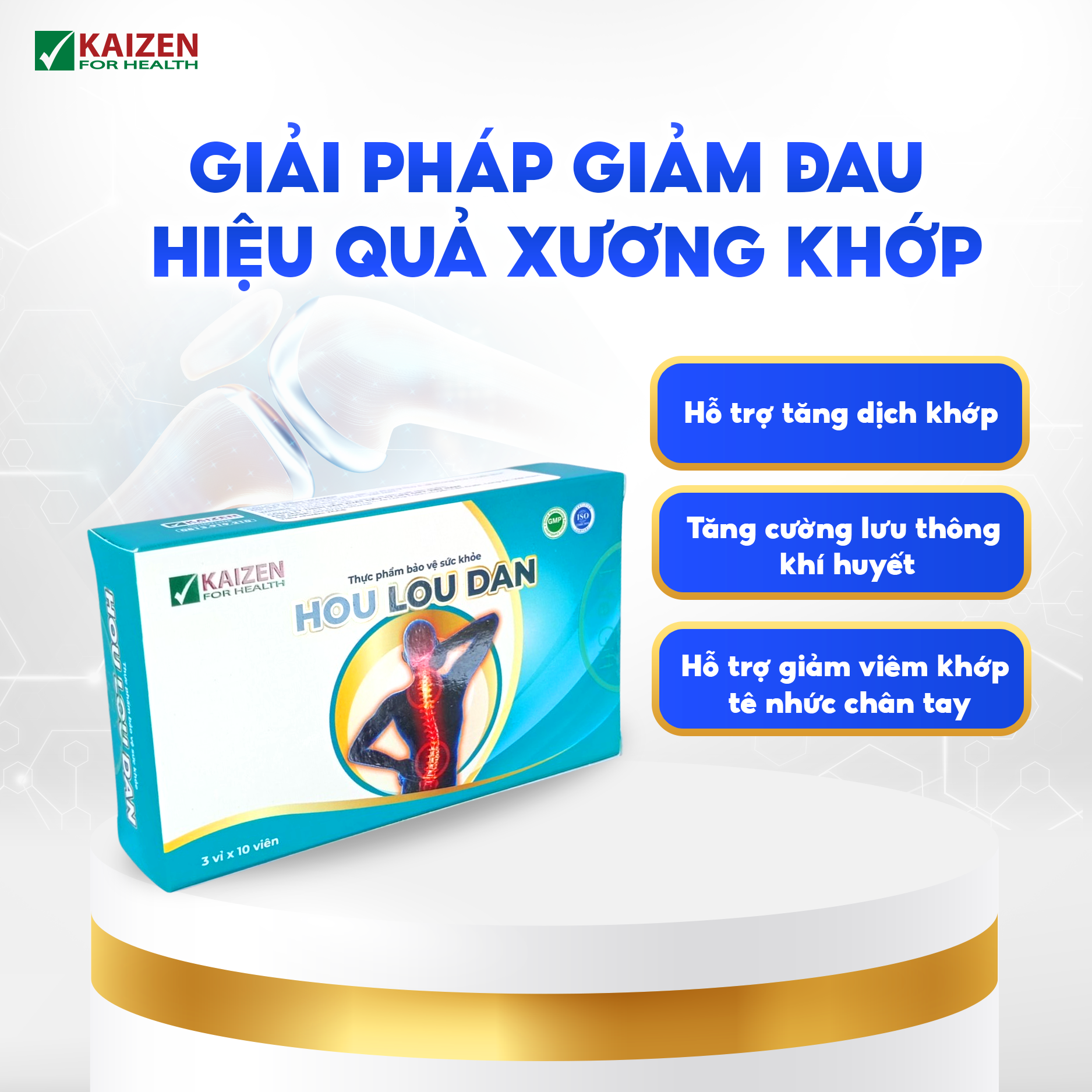Viên uống Hou Lou Dan hỗ trợ giảm viêm khớp, thoái hóa khớp (30 viên)