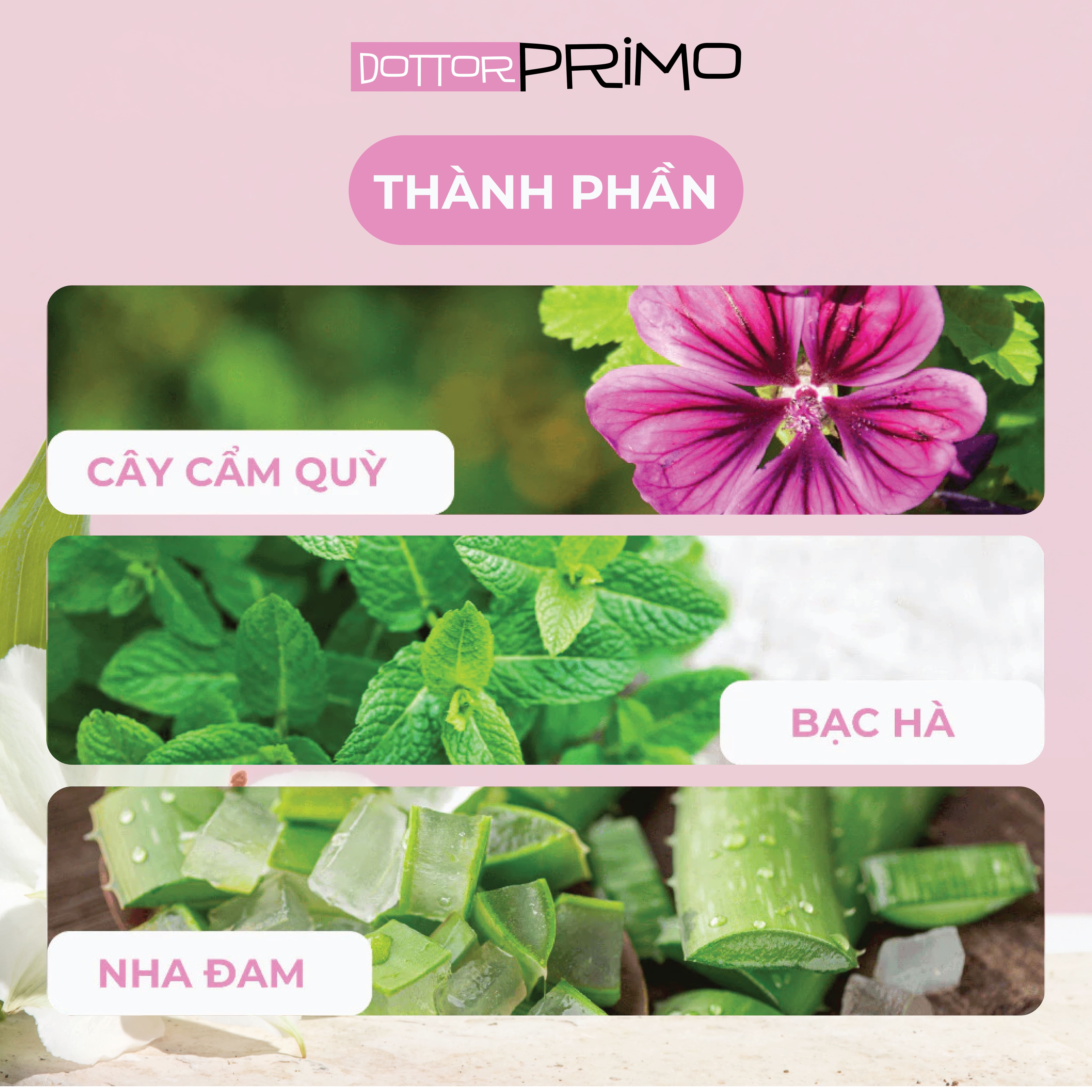 Gel vệ sinh vùng kín hàng ngày DottorPrimo Emergyn Fresh