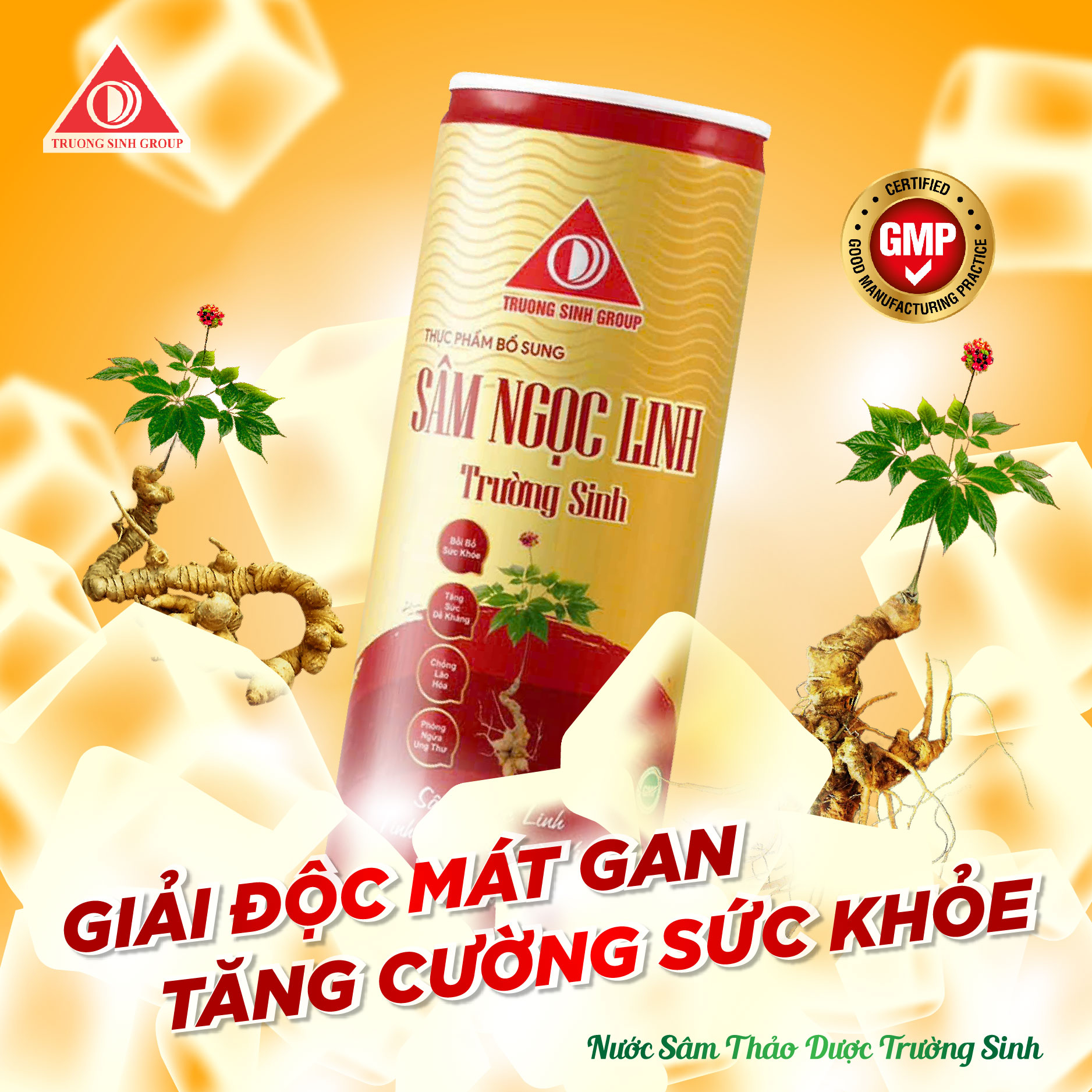 Sâm Ngọc Linh trường sinh đỏ (Thùng 24lon)
