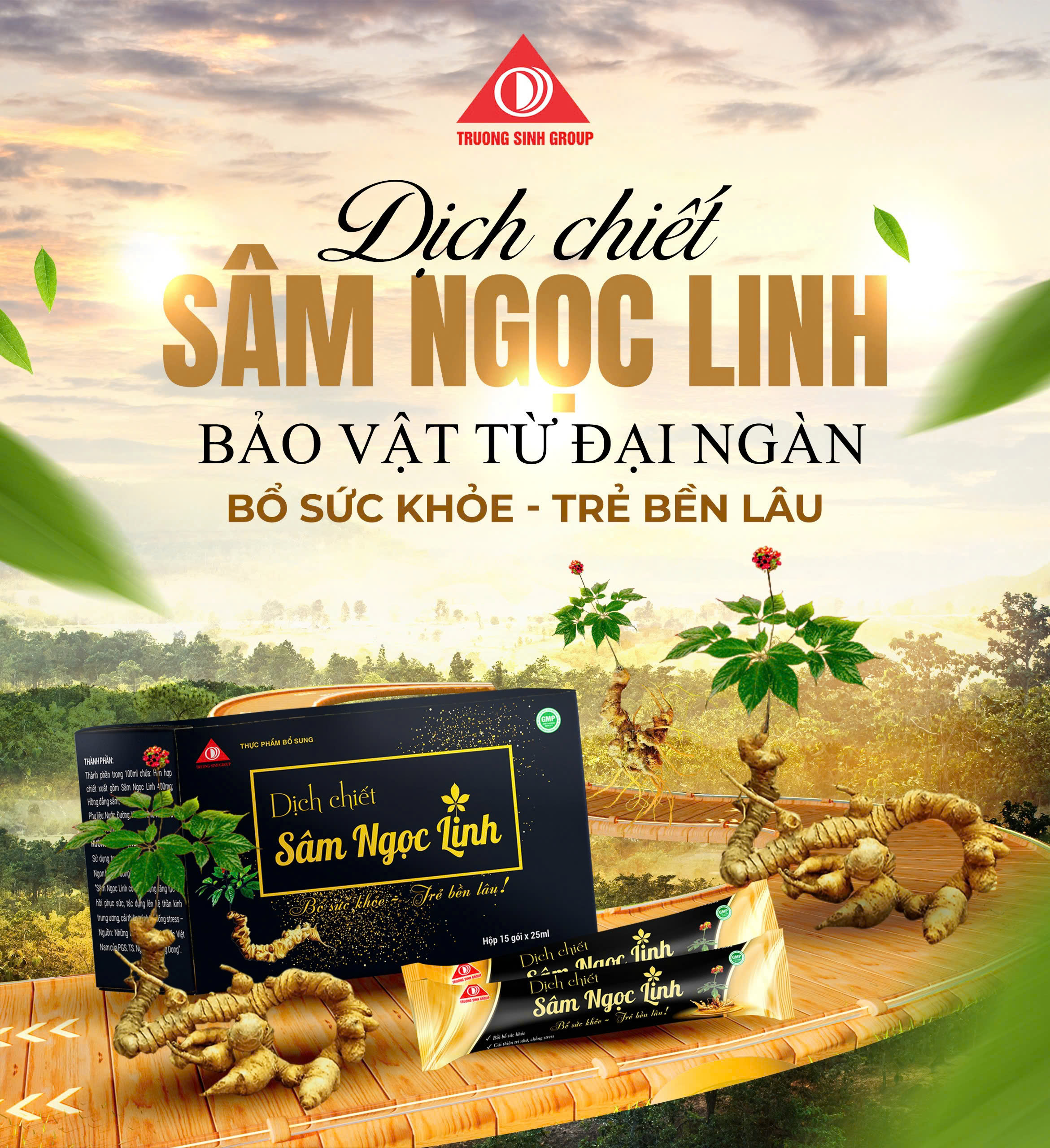 Dịch chiết Sâm Ngọc Linh hỗ trợ bồi bổ sức khỏe (15 gói/hộp) - 5