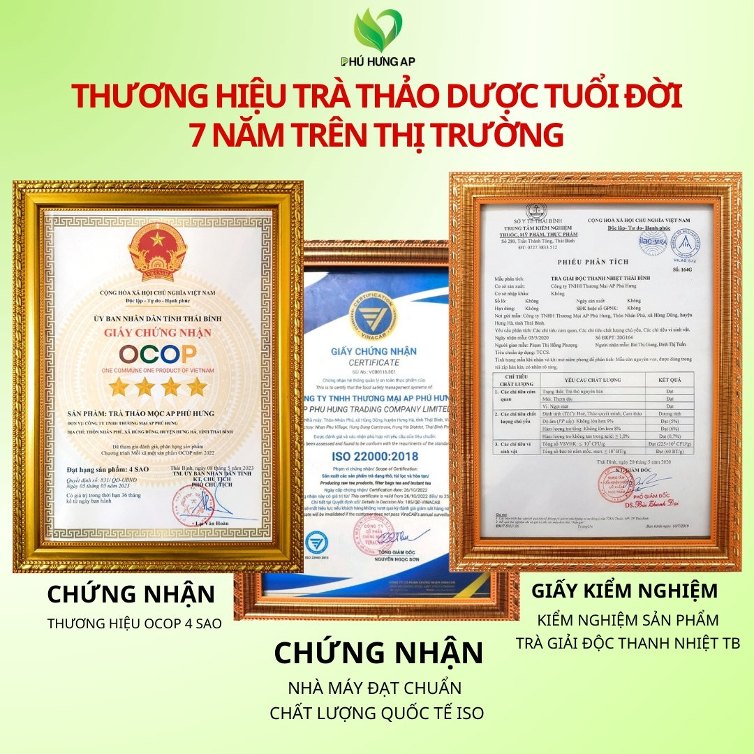 Trà Giải Độc Thanh Nhiệt Thái Bình 125gram ( Túi lọc)