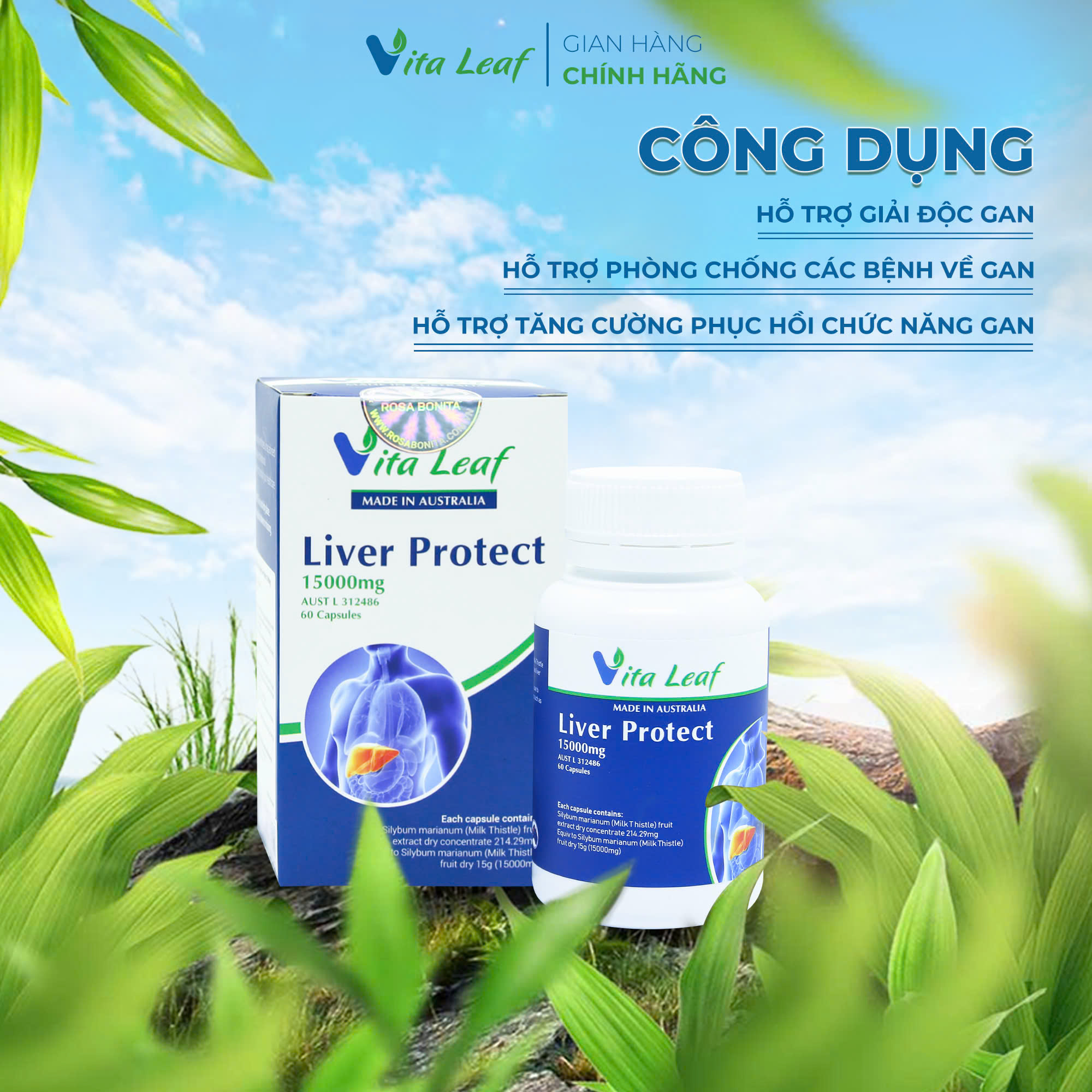 Combo liver-source of life (lá gan nguồn sống) (3 hộp)- Hỗ trợ Thải độc gan, bảo vệ và duy trì chức năng gan - 4