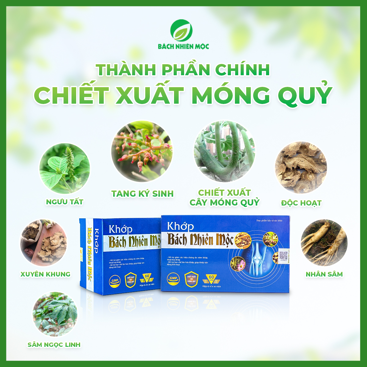 TPBVSK Khớp Bách Nhiên Mộc Hỗ trợ giảm các triệu chứng do viêm khớp, thoái hóa khớp, lão hóa khớp (Hộp 60 viên)