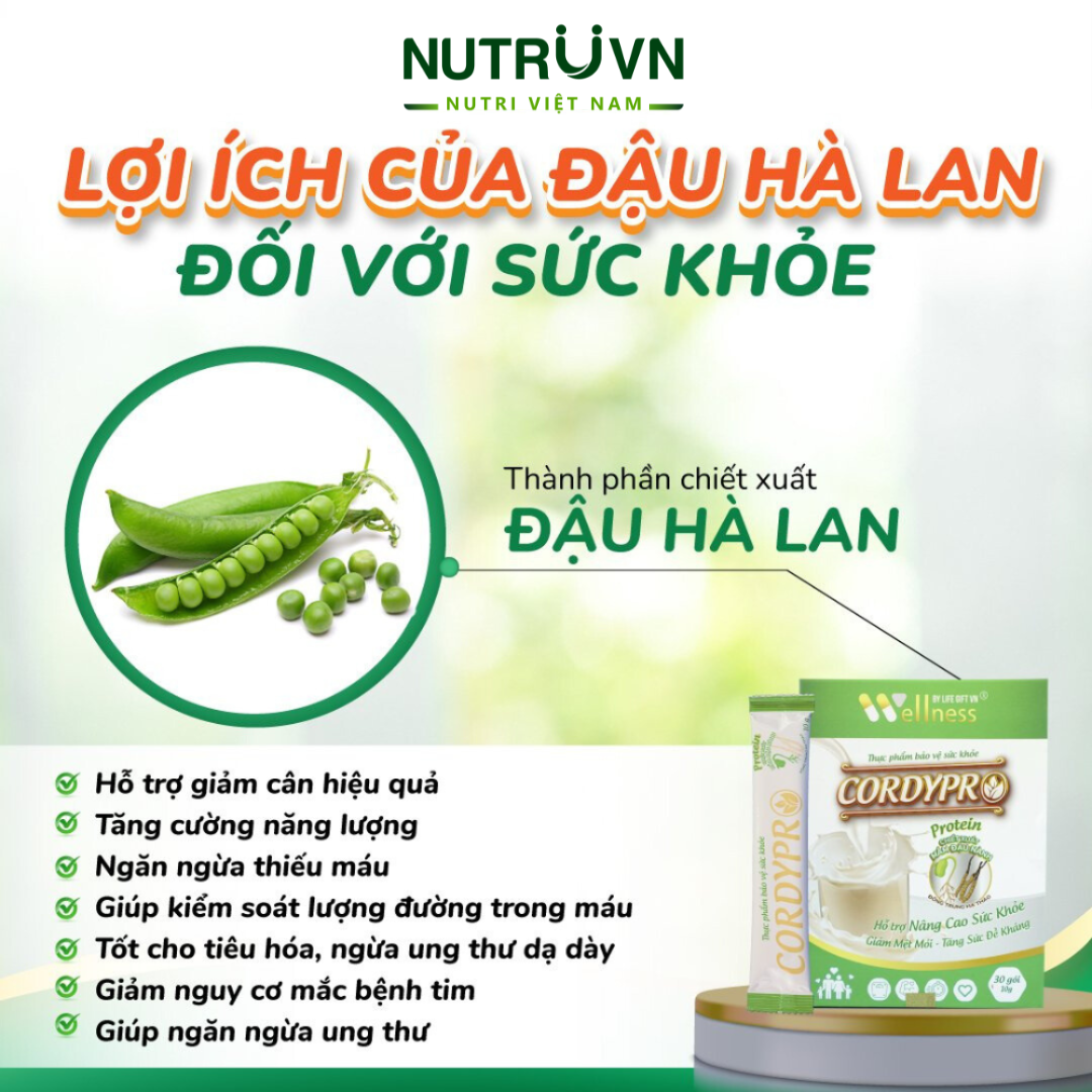 Bột Protein thực vật Cordypro – Hỗ trợ cơ bắp, sức bền, tim mạch, tăng cường miễn dịch (30 gói)