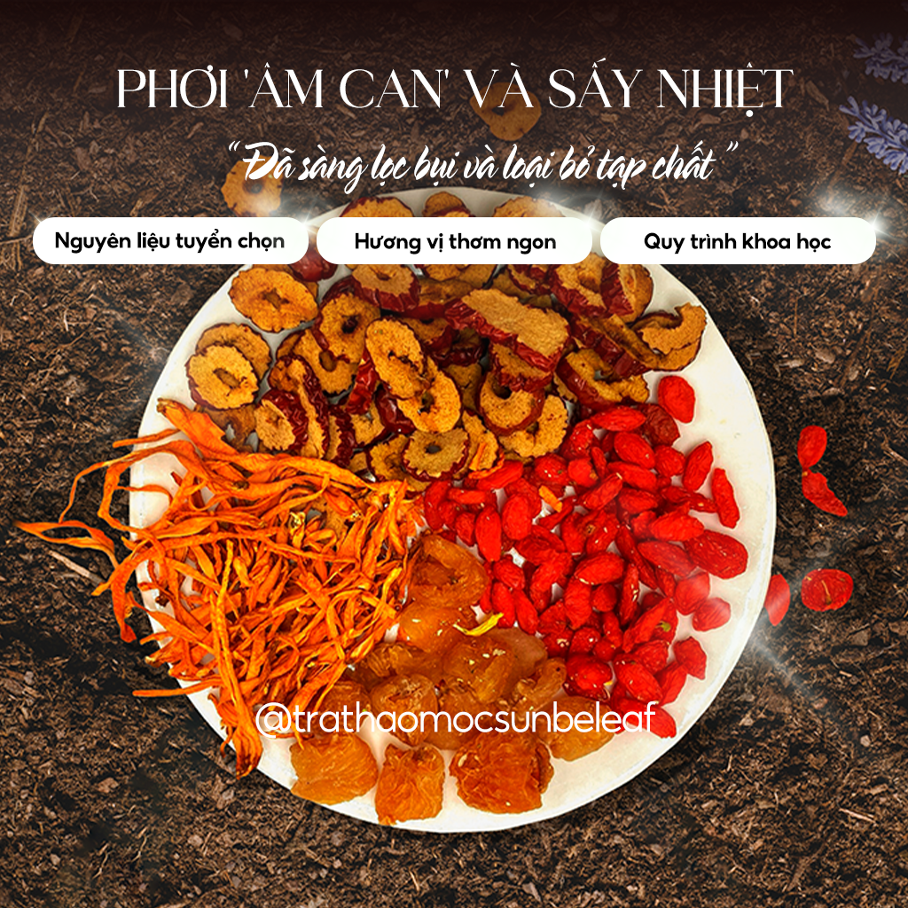 Trà Đông Trùng Hạ Thảo Tứ Vị Sunbeleaf - Duy Trì Sinh Lực, Nuôi Dưỡng Cơ Thể Từ Bên Trong - Túi Zip 20 Gói