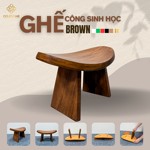 Ghế Công Sinh Học BROWN