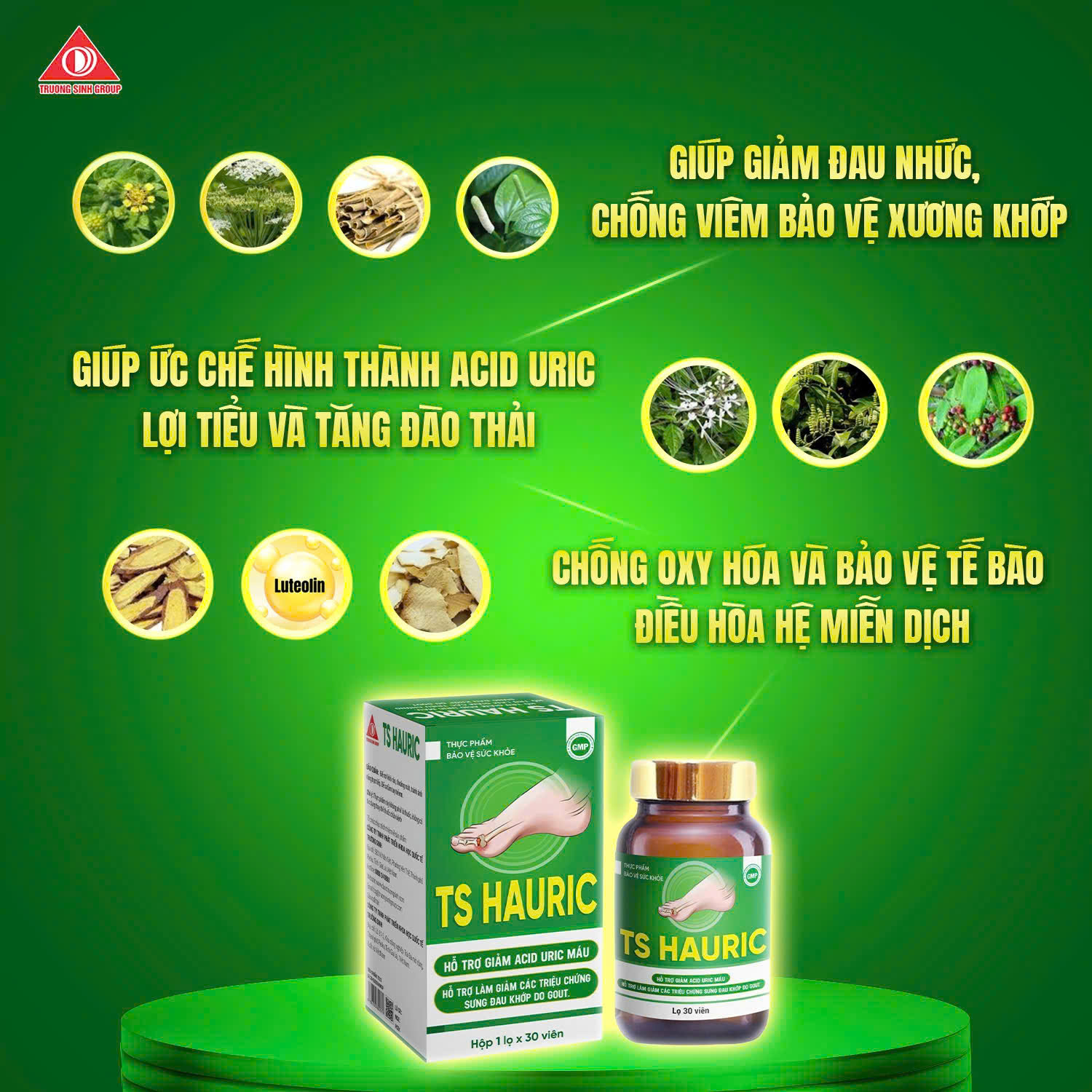Viên uống TS Hauric hỗ trợ giảm acid uric và sưng đau khớp do gout 30v - Phân phối chính hãng