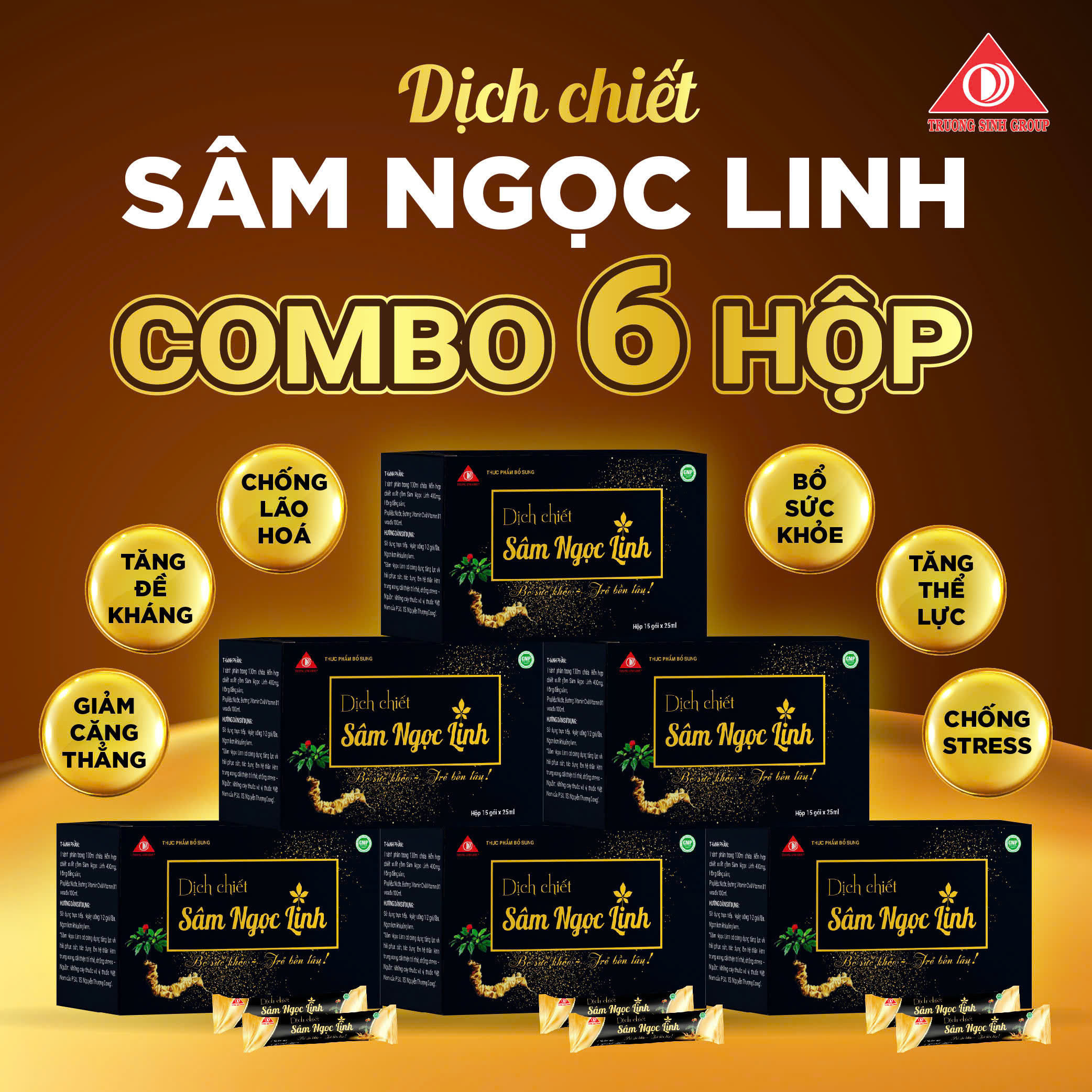 Combo 6 dịch chiết Sâm Ngọc Linh