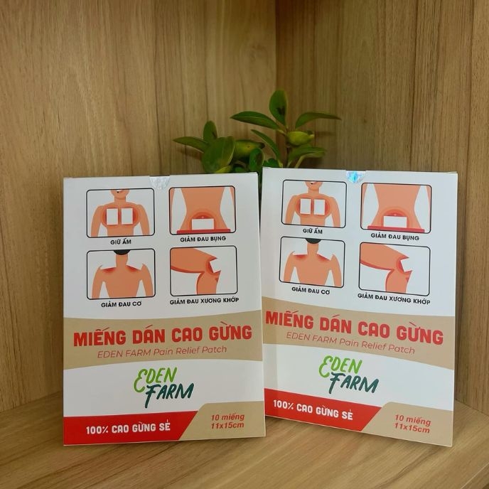 Miếng dán cao gừng Eden Farm - Giảm đau mỏi xương khớp cổ vai gáy  - Hộp 10 miếng 11x15cm - 3