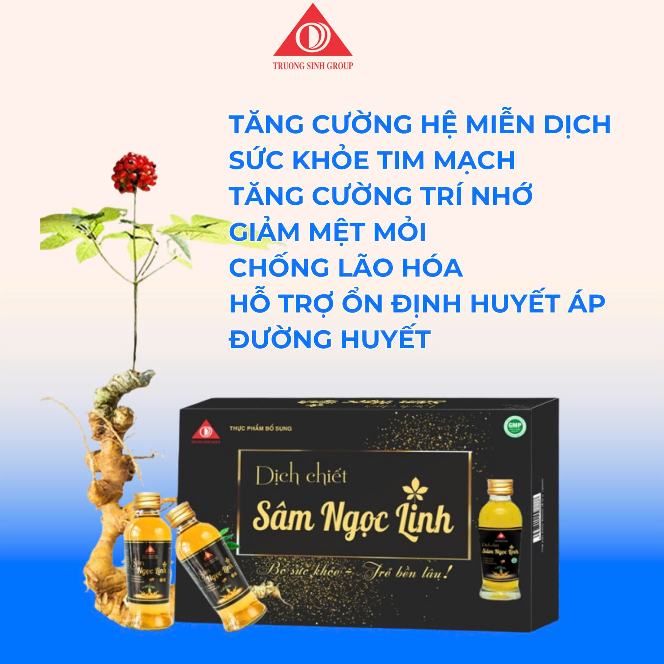 Dịch chiết sâm ngọc linh (05 chai/ hộp) - Phân phối chính hãng