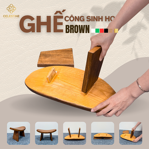Ghế Công Sinh Học BROWN