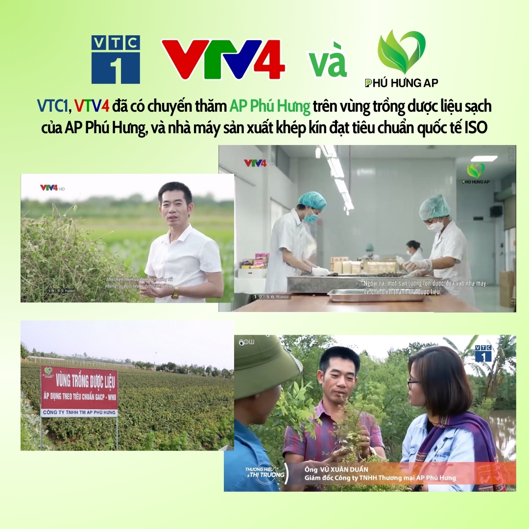 Trà Giải Độc Thanh Nhiệt Thái Bình 125gram ( Túi lọc)