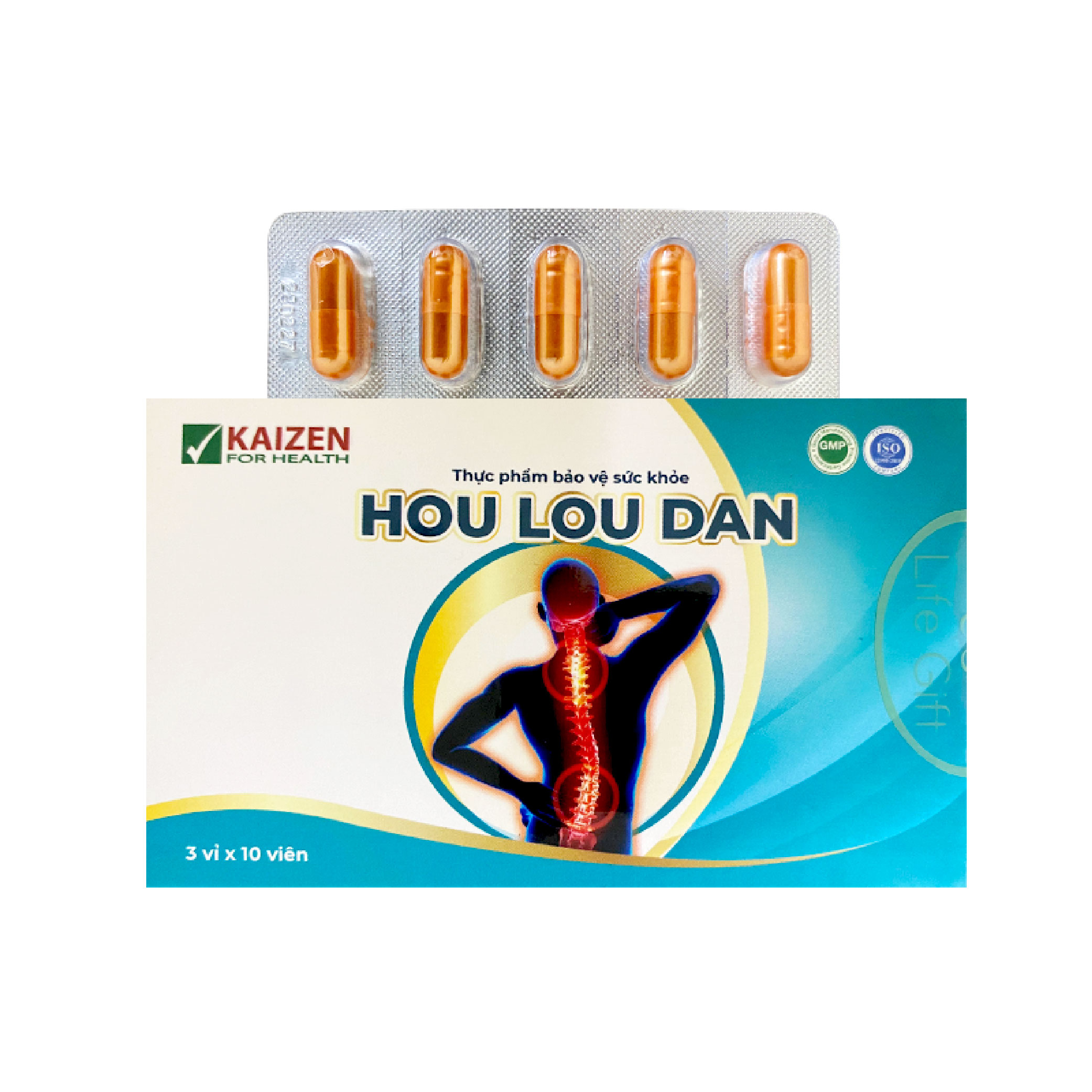 Viên uống Hou Lou Dan hỗ trợ giảm viêm khớp, thoái hóa khớp (30 viên) - Phân phối chính hãng