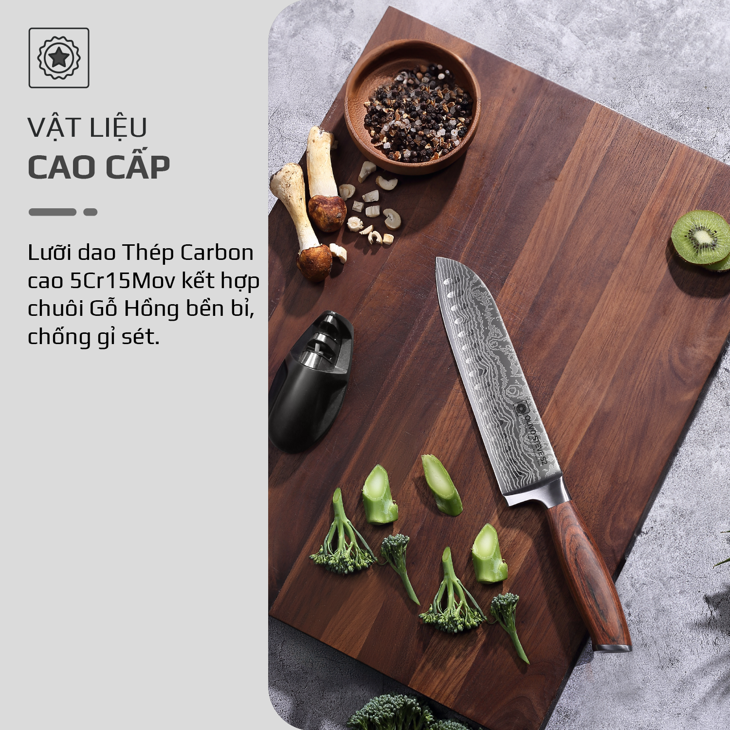 Dao thép carbon OLIVO Steve S2