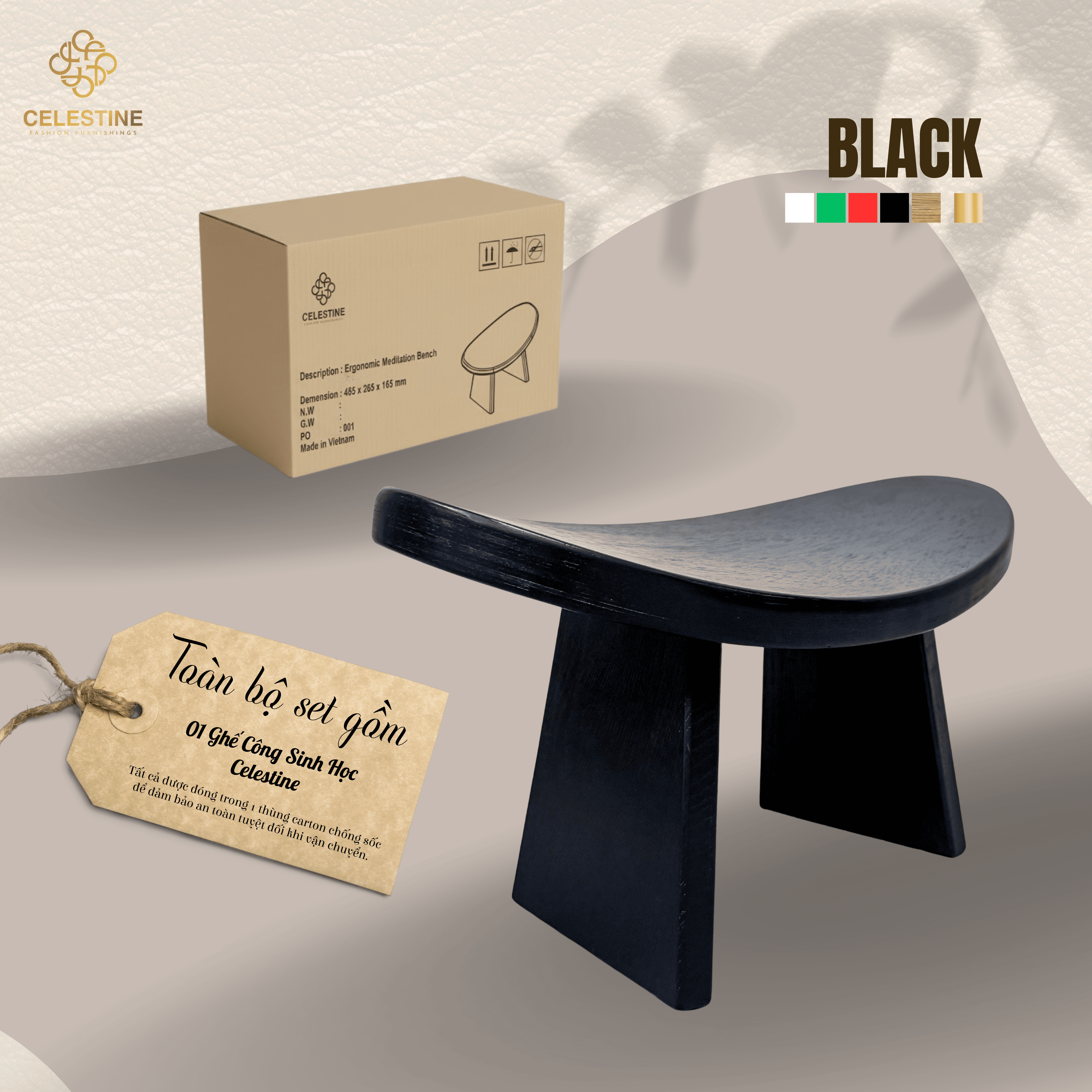 Ghế Công Sinh Học BLACK