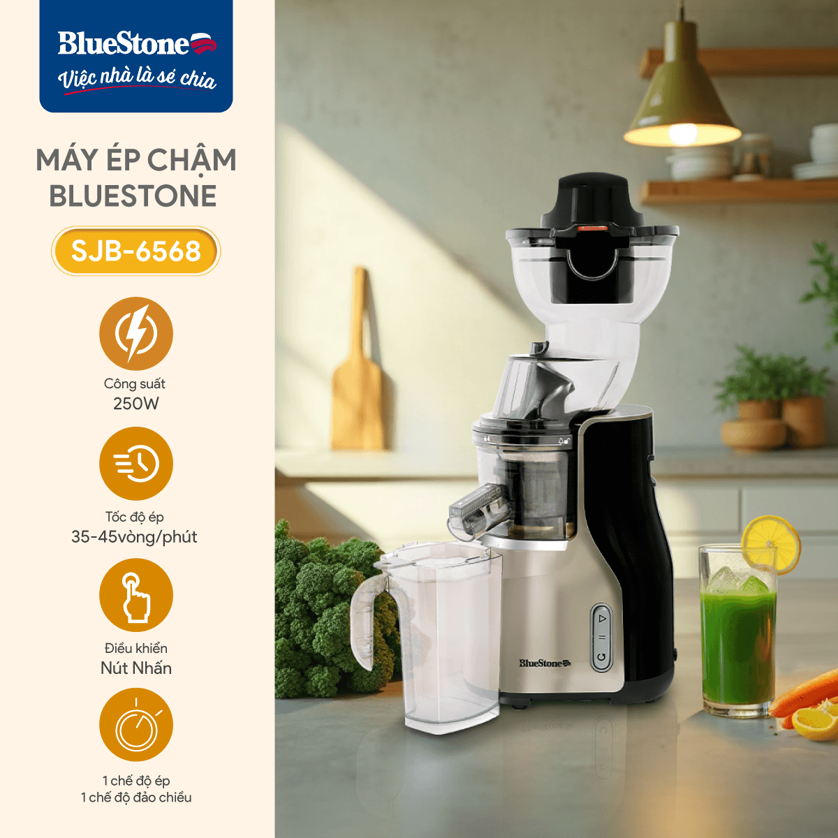 Máy Ép Chậm BlueStone SJB-6568 250W - 6