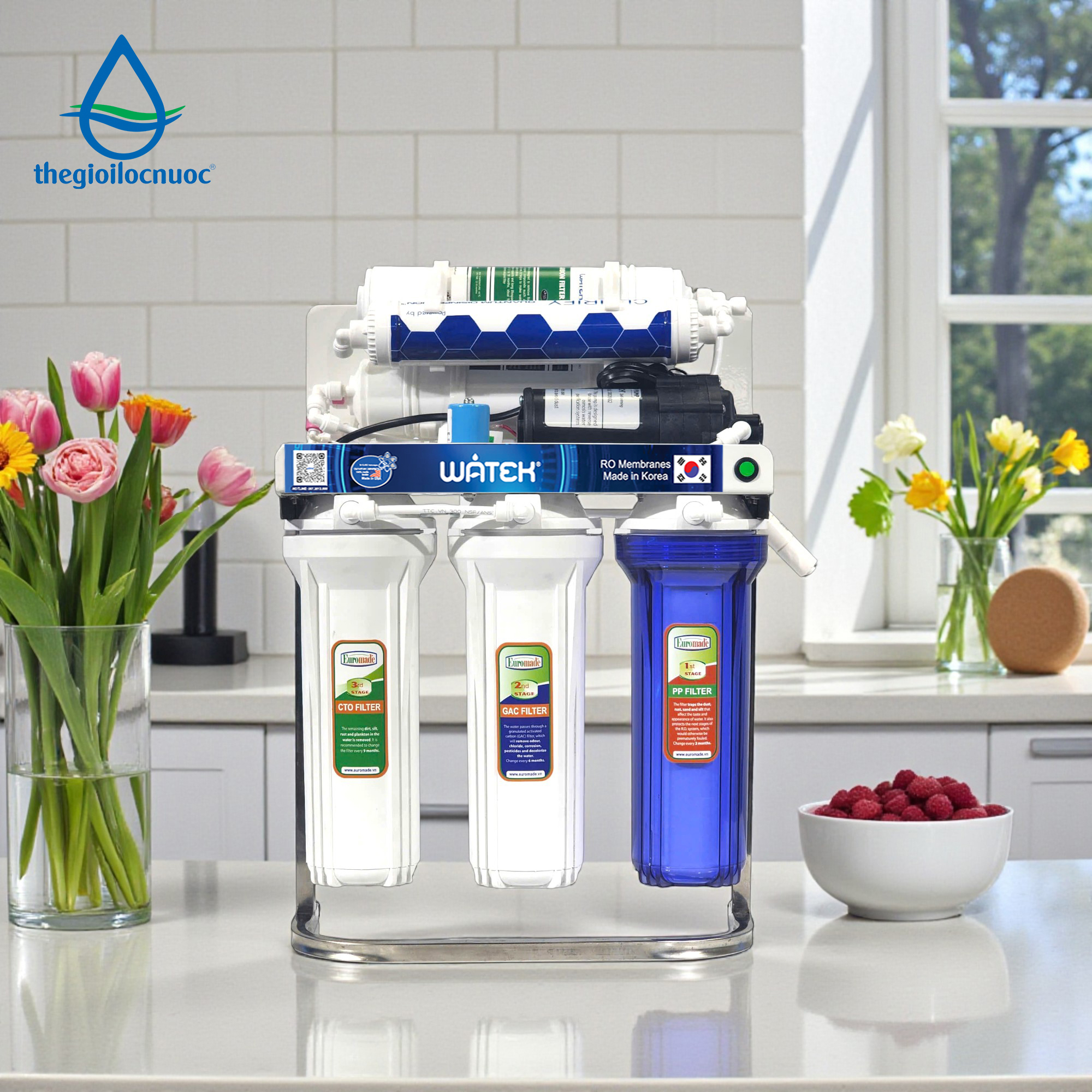 Máy lọc nước Watek, model: Eco-100RO