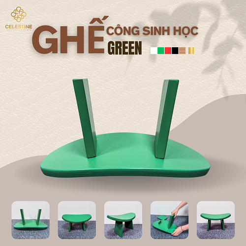 Ghế Công Sinh Học GREEN