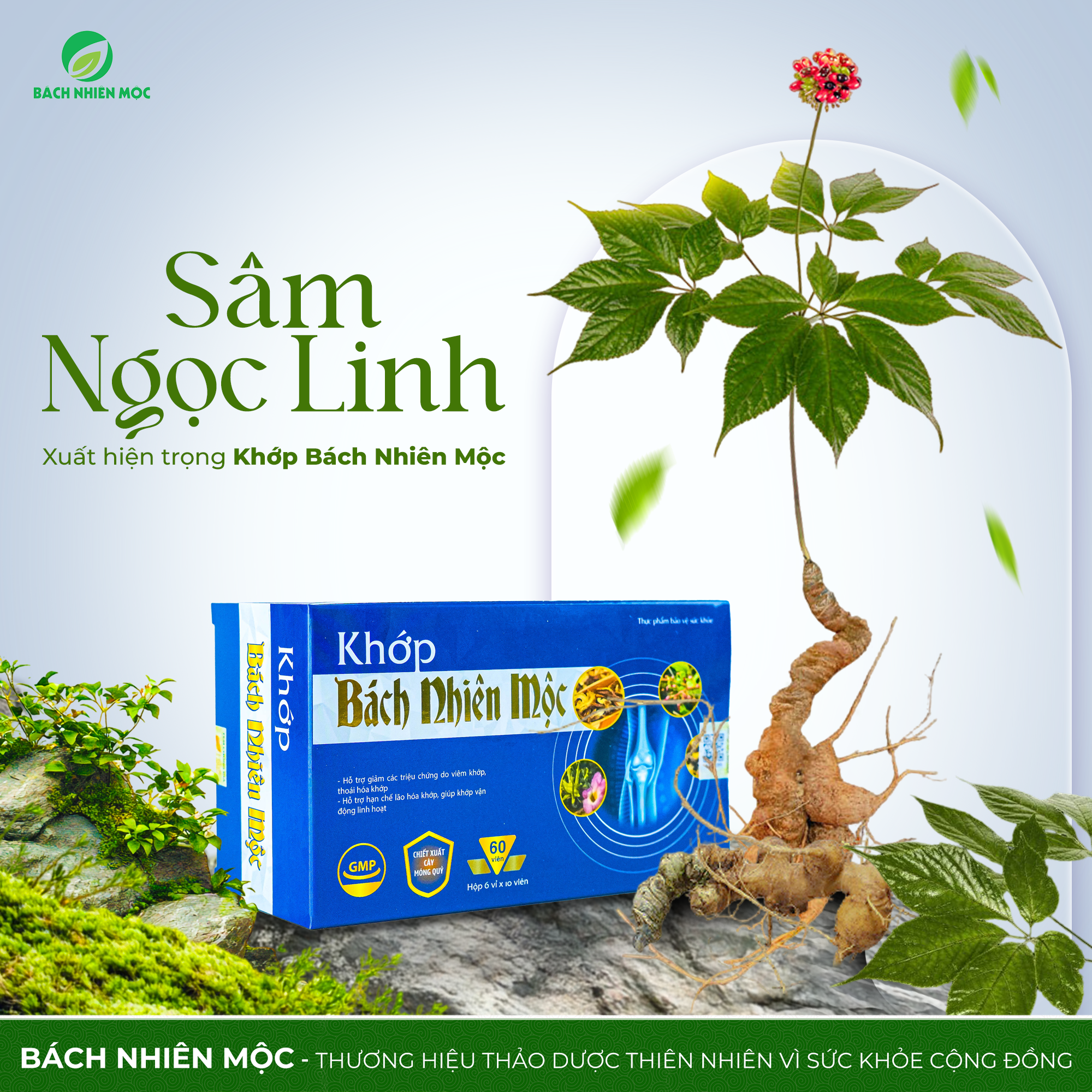 TPBVSK Khớp Bách Nhiên Mộc Hỗ trợ giảm các triệu chứng do viêm khớp, thoái hóa khớp, lão hóa khớp (Hộp 60 viên)