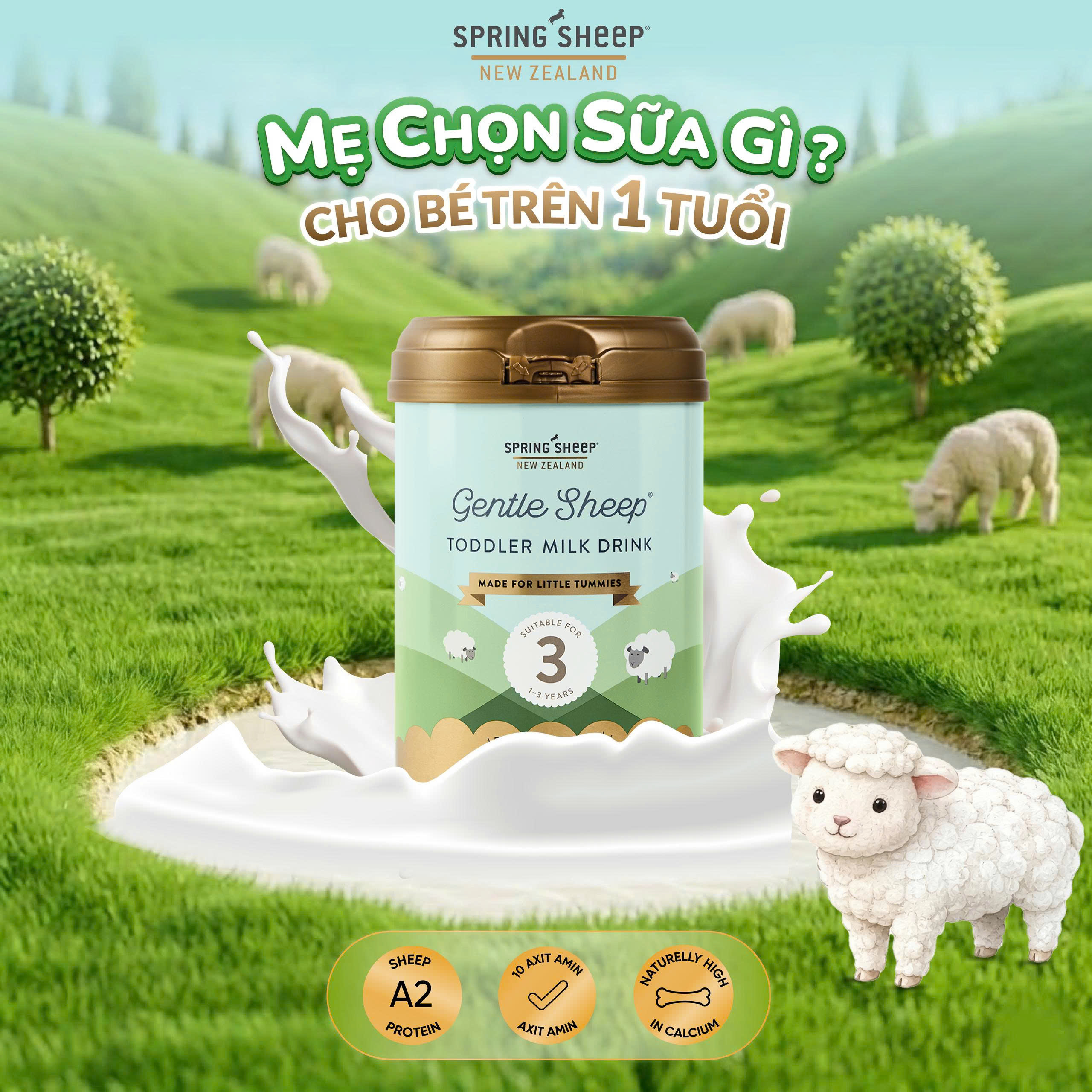 Sữa Spring Sheep số 3 cho trẻ từ 12-36 tháng tuổi 800g - Phân phối chính hãng