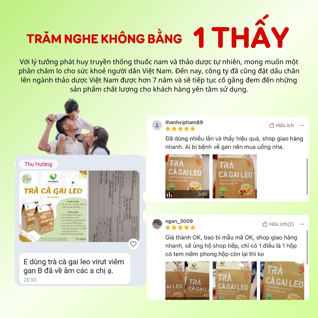 Trà Cà Gai Leo Hỗ Trợ Bảo Vệ Gan AP Phú Hưng