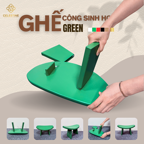 Ghế Công Sinh Học GREEN