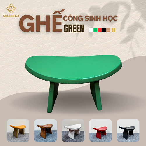 Ghế Công Sinh Học GREEN - Phân phối chính hãng