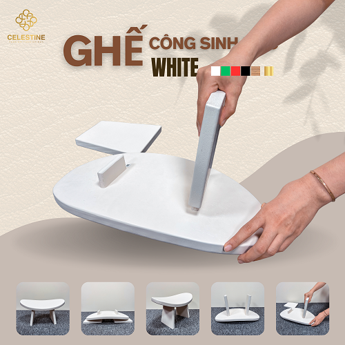 Ghế Công Sinh Học WHITE