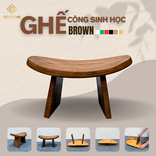 Kinh Nghiệm Chọn Ghế Công Thái Học Bảo Vệ Cột Sống Cho Dân Văn Phòng