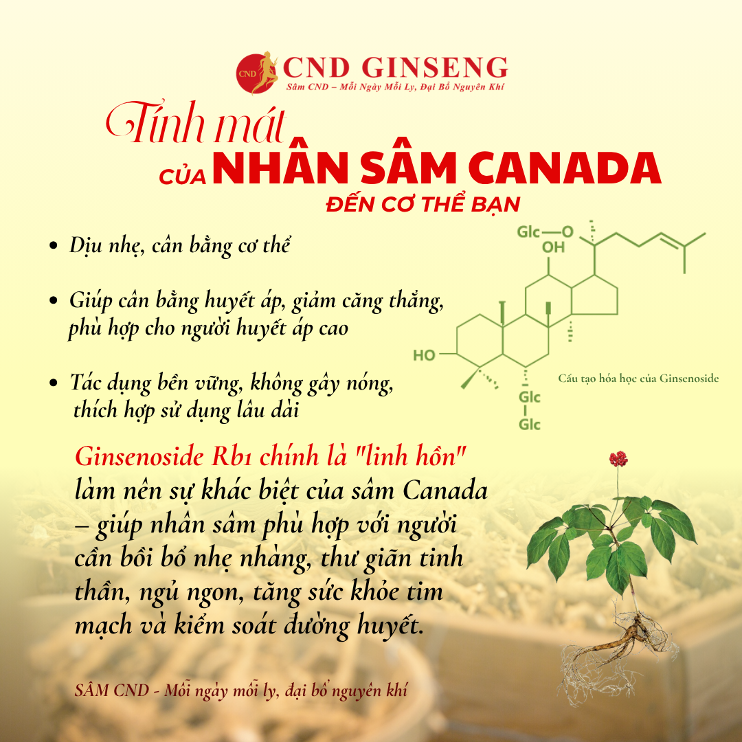 An Đường Hoà Tan CND GINSENG - Hỗ trợ cải thiện chỉ số đường huyết ( kèm túi )