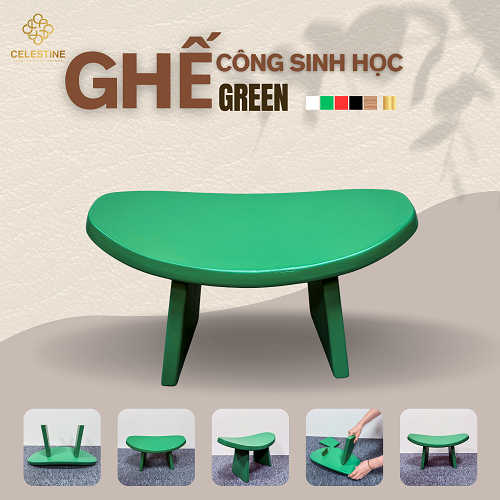 Ghế Công Sinh Học GREEN