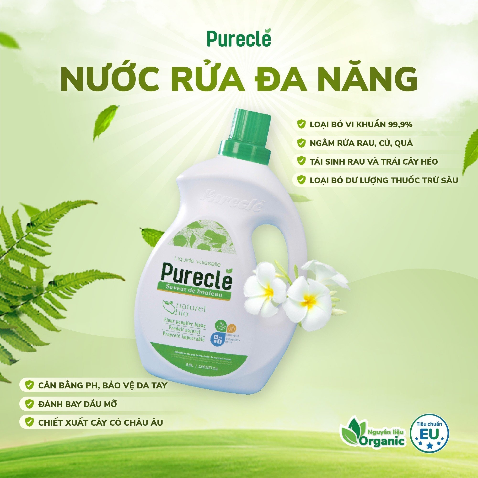 Nước rửa chén Pureclé-duoc-ban-tai-Shop Mylove- Mẹ và Bé