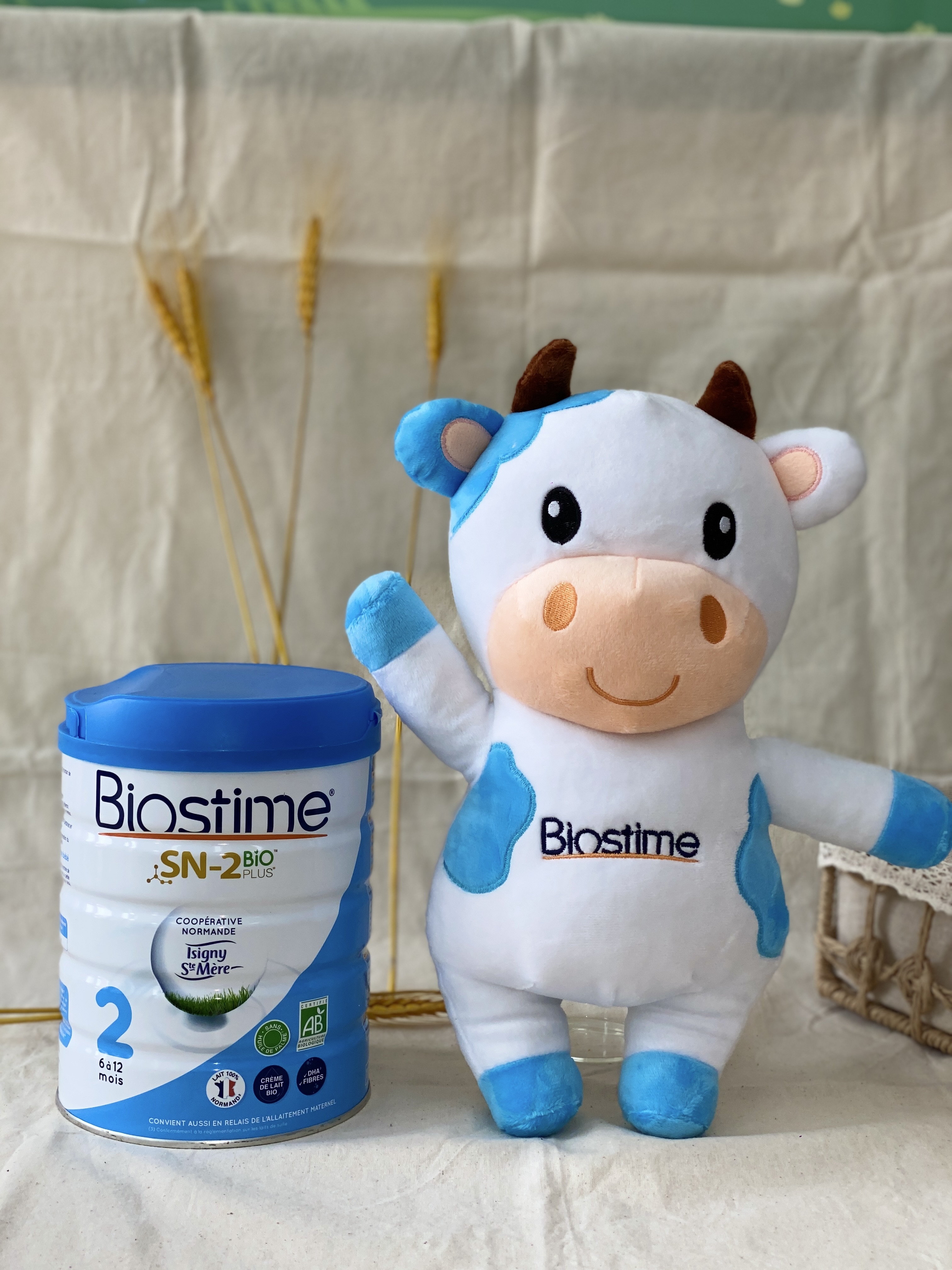 Sữa Biostime SN-2 Bio Plus Organic (số 2)