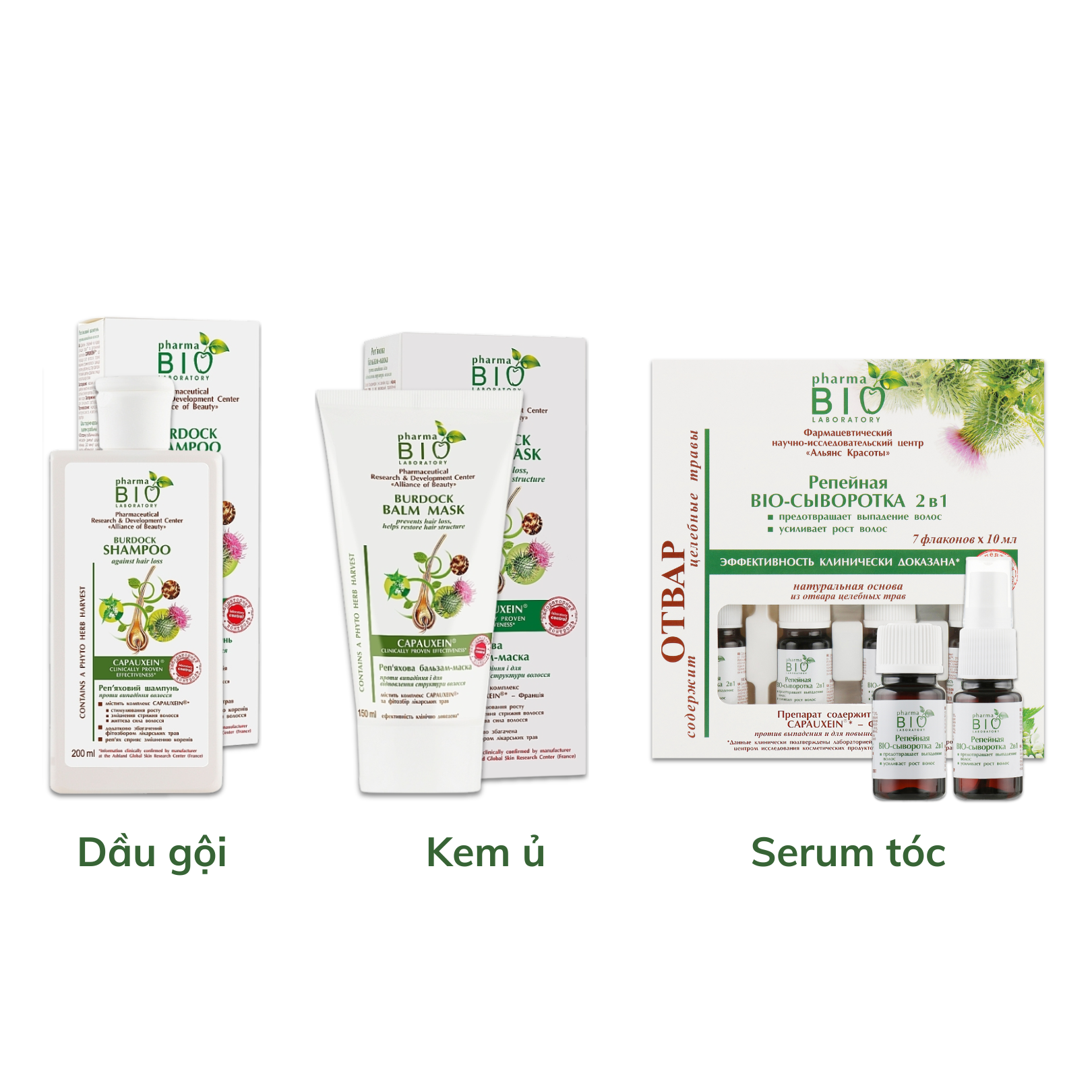 Pharma Bio laboratory Bộ sản phẩm ngưu bàng chống rụng & kích thích mọc tóc - Phân phối chính hãng