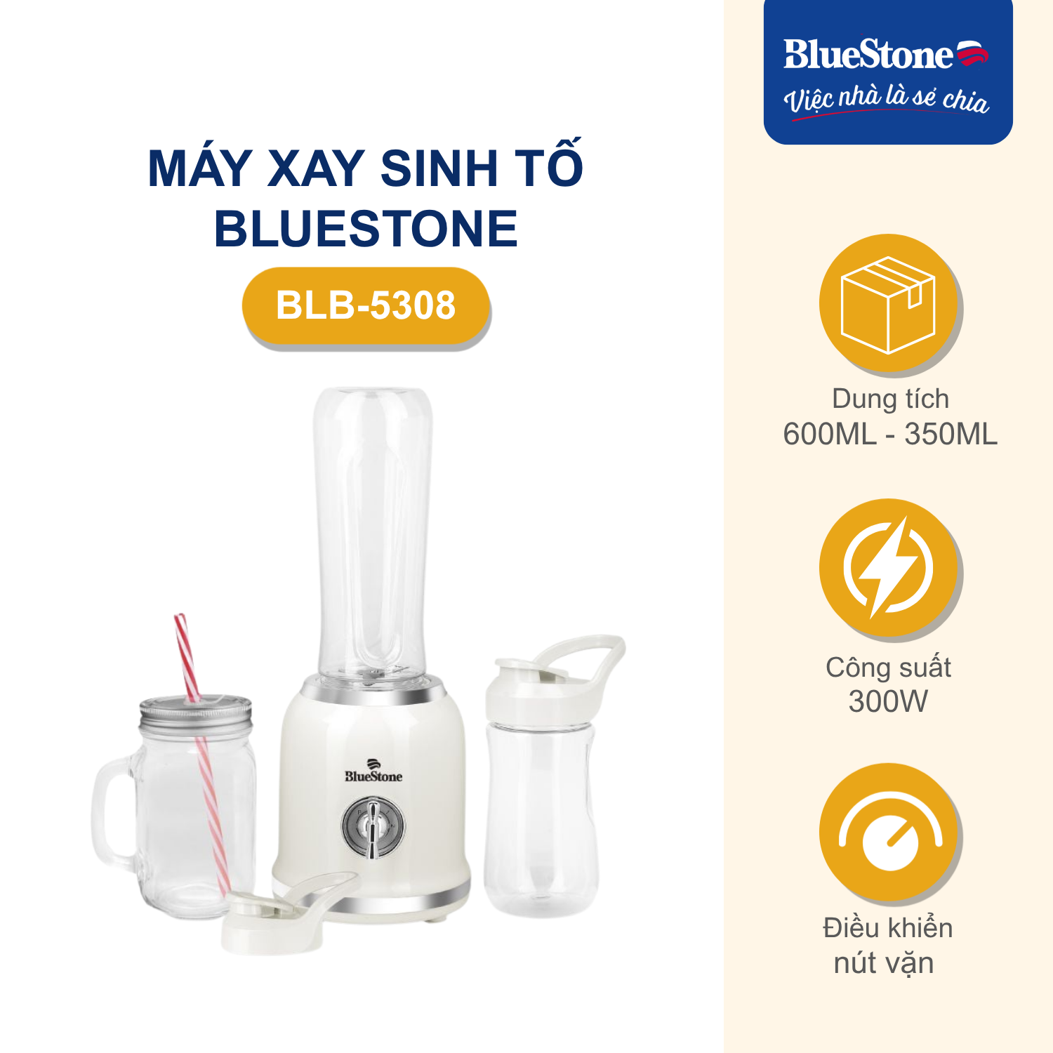 Máy Xay Sinh Tố BlueStone BLB-5308 300W - Phân phối chính hãng
