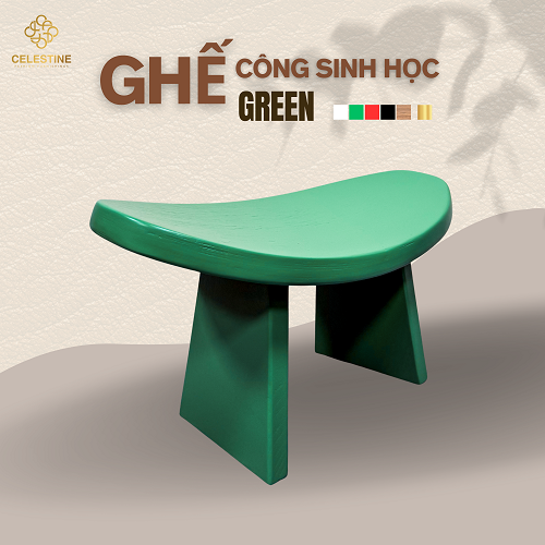 Ghế Công Sinh Học GREEN