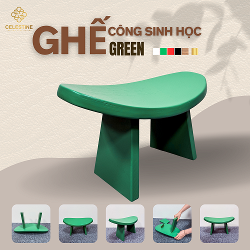 Ghế Công Sinh Học GREEN